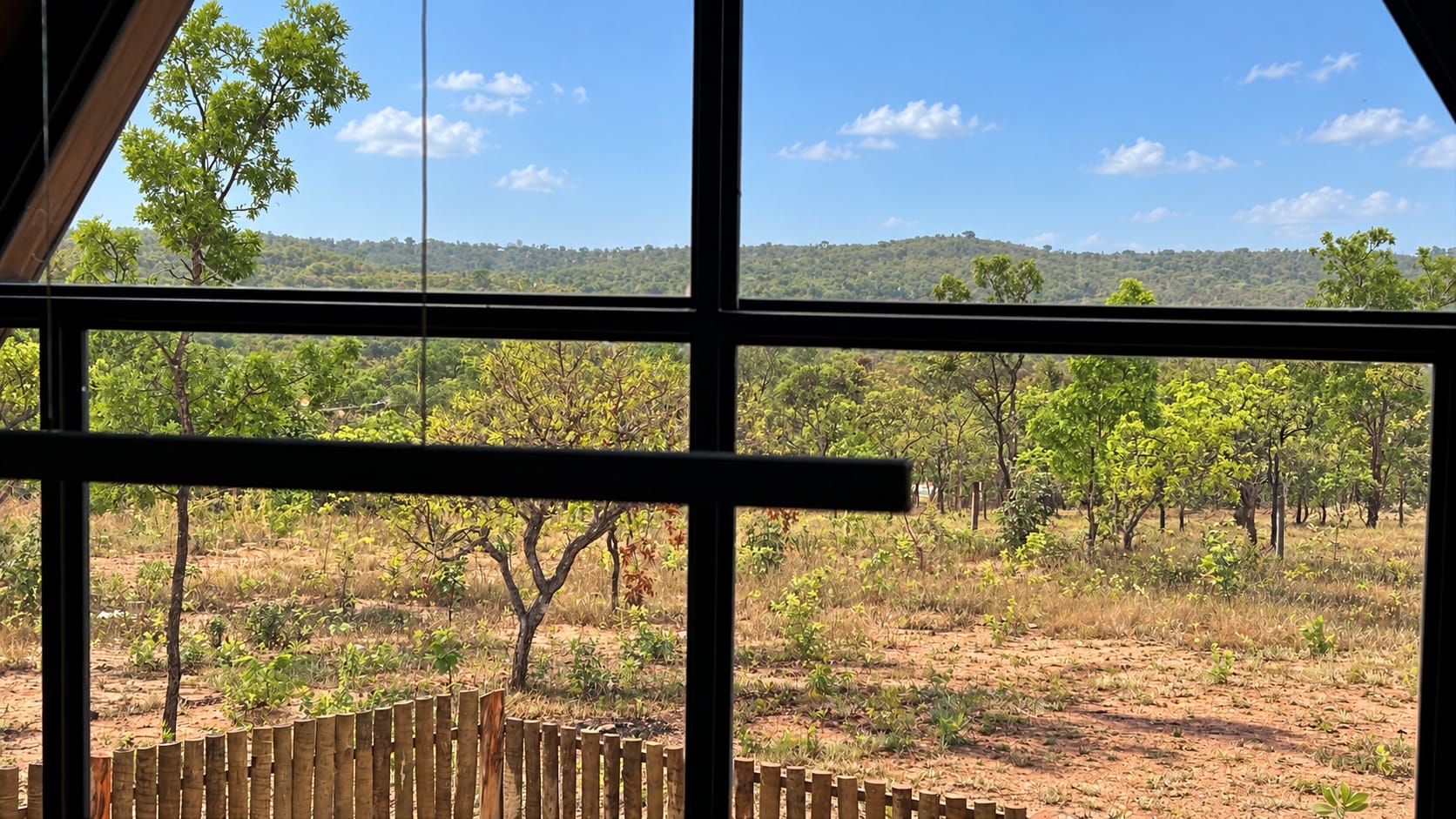 Árvores do cerrado e o terreno vistos pela janela do mezanino, sob céu azul.